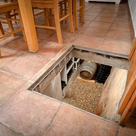 Benedeta-dubovica Hvar * Zarače