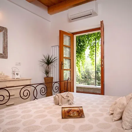 Benedeta-dubovica Hvar Zarace