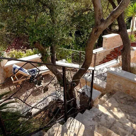 Benedeta-dubovica Hvar * Zarače