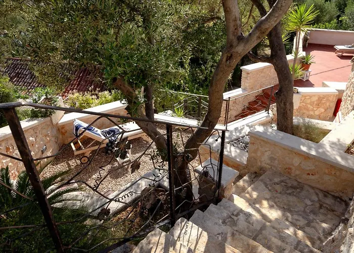 Benedeta-dubovica Hvar * Zarače